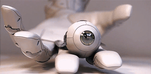 tumblr_meogi4FZnZ1r94e9jo1_500