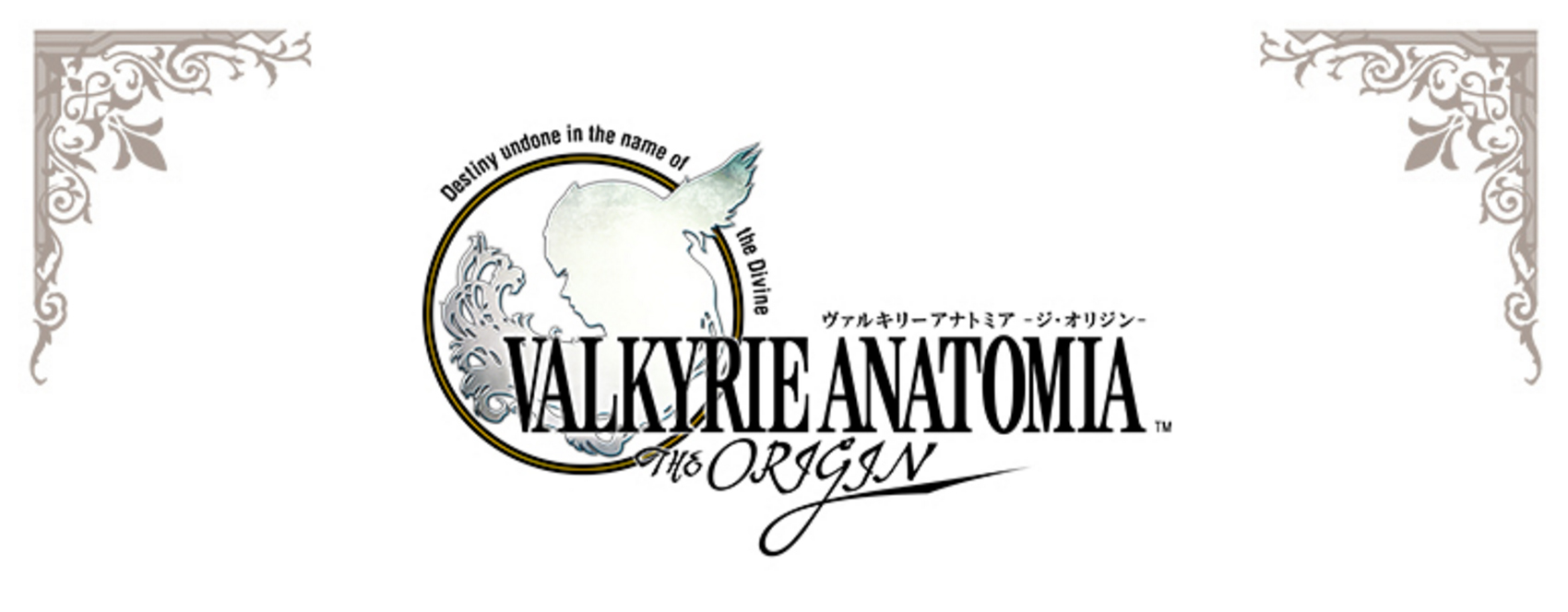 valkyrieanatomia