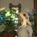 FFXIV_Screenshot_PUB_Pach3_1464788832.3_49_01.06.2016